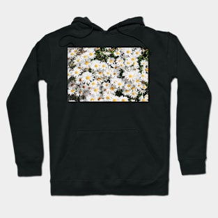 sunny daisies Hoodie